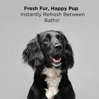 CHI For Dogs Deodorizing Spray, , large image number null